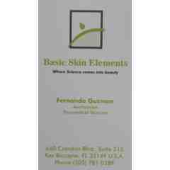 Basic Skin Elements