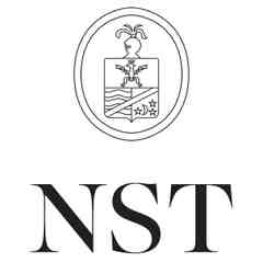 NST Studio