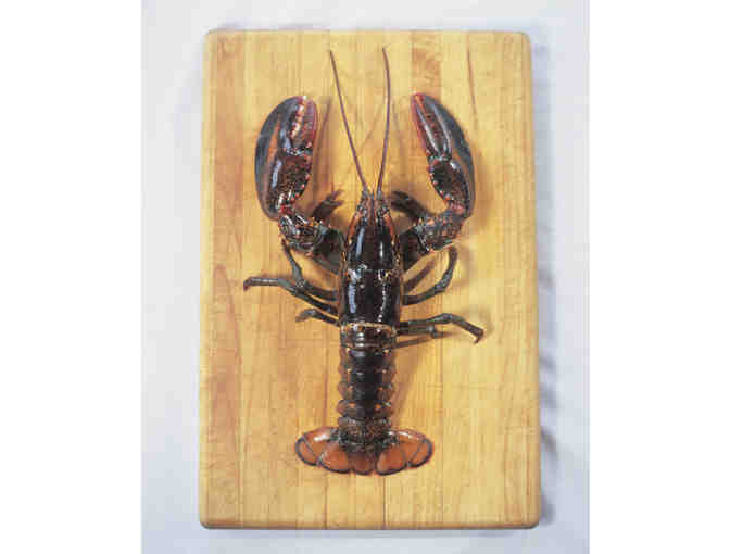 4 Lobsters 1 1/4 lbs each from Sakonnet Lobster - Photo 1