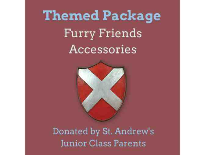 Furry Friends Accessories: SAS Junior Class Package - Photo 1