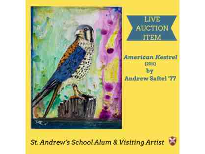 American Kestrel by Andrew Saftel '77