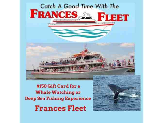 Whale Watch or Deep Sea Fishing with The Frances Fleet, Narragansett, RI - Photo 1