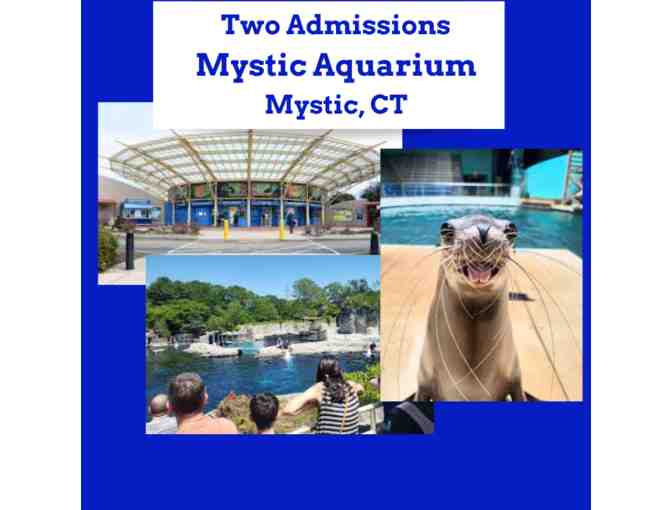 Two Passes Mystic Aquarium - Photo 1