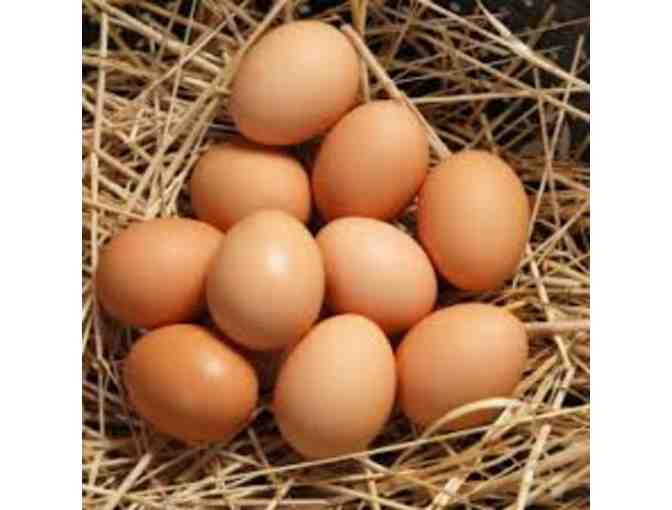 Two Dozen Farm Fresh Eggs - Photo 1