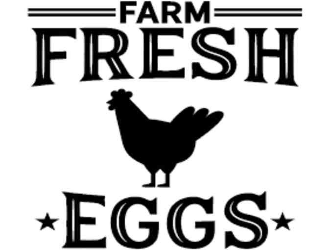Two Dozen Farm Fresh Eggs - Photo 1