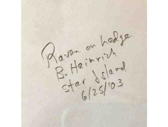 Signed Copy of 'Mind of the Raven' and Original Sketch by Bernd Heinrich