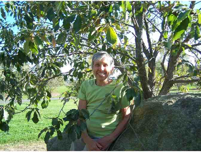 'Oh, Say Did You Know' Award-Winning Poetry Chapbook by Ellen Schmidt