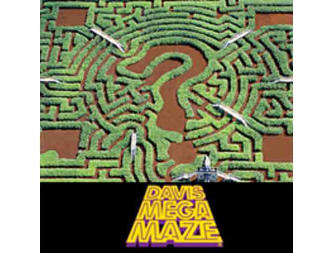 Davis Farmland and Mega Maze