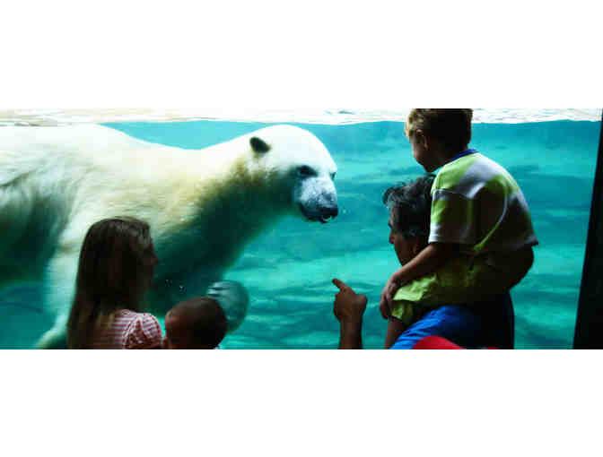 One month of Quickstart tennis and a family membership to the Memphis Zoo