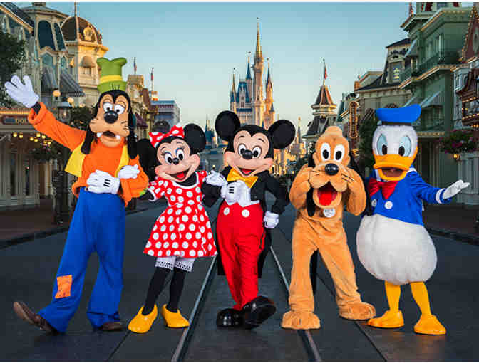 Walt Disney World Hopper Day Passes