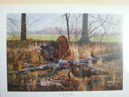 "Gobblers on Edge" signed print