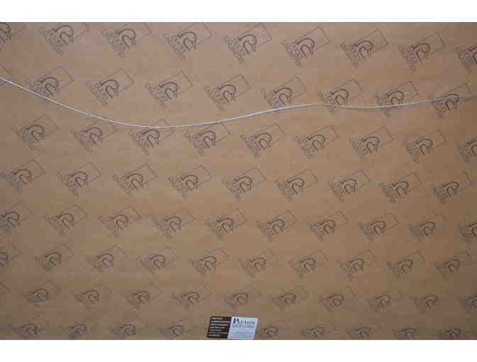 Duck's Unlimited Print - Spring Fever