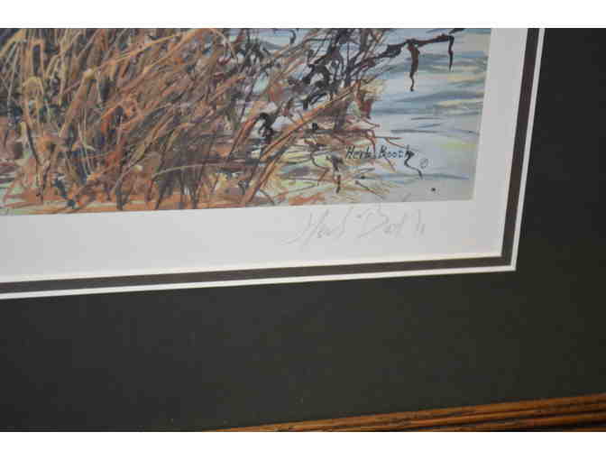 Duck's Unlimited Print - Teal Sunrise