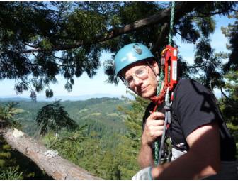 Guided Tree Climb -  Redwood or Douglas-fir!