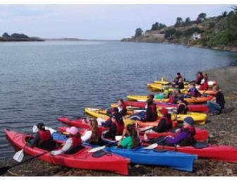 4 Hour Guided Kayak Tour for Two by WaterTreks