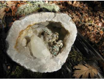 Geode with Decorative Sea Otter Art Piece Inside