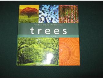 'trees' A Visual Guide- Vibrant & colorful book