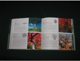 'trees' A Visual Guide- Vibrant & colorful book