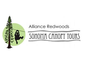 Zipline Canopy Tour of the Redwoods for 2 Adults