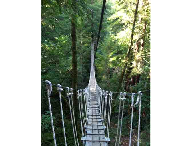 $198 Gift Certificate for Sonoma Canopy Tours