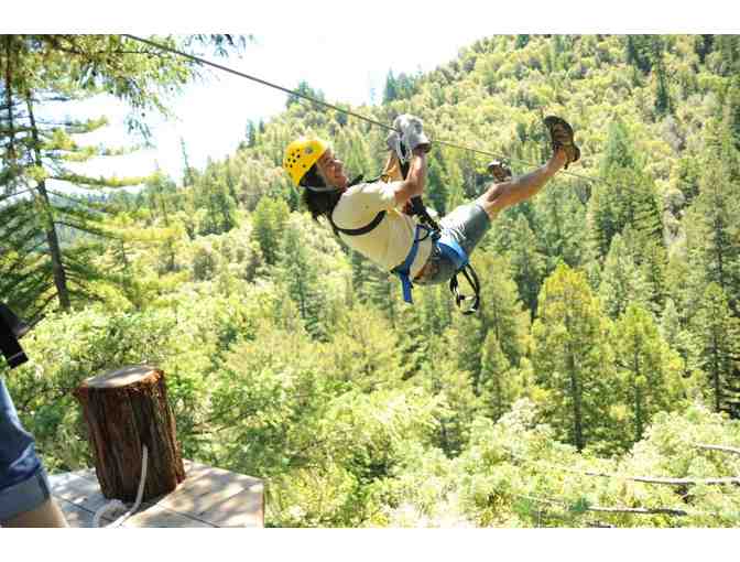 $198 Gift Certificate for Sonoma Canopy Tours