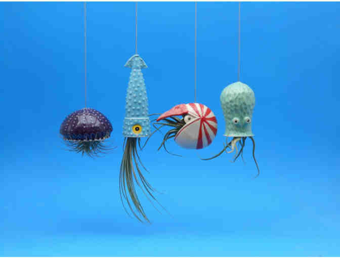 4 Large Air Planters Octopus Garden Collection