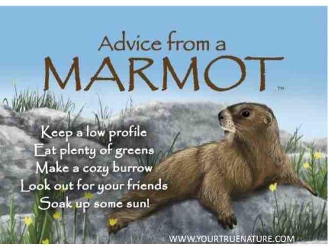 Nature Advice Multi Pack