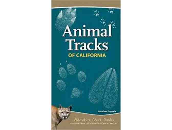 Animal Tracks Book Set