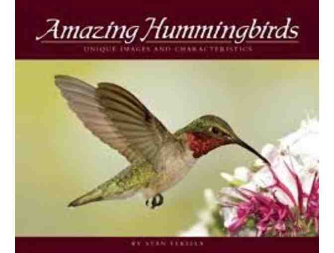 Butterflies and Hummingbirds Lover's Nature set!