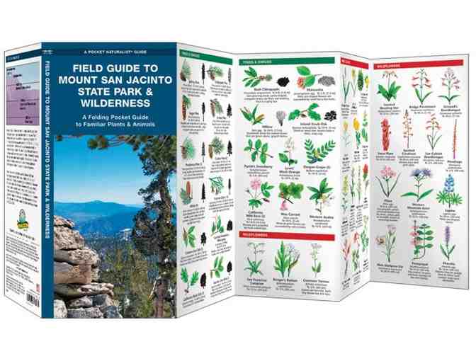 Outdoor Enthusiast Book Pack