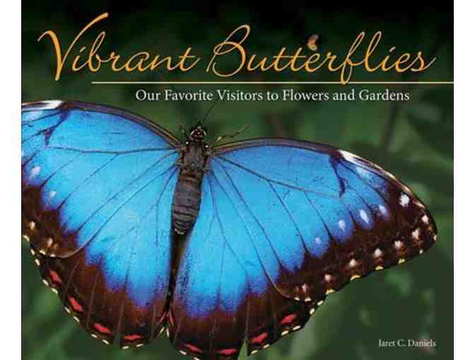 Butterflies and Hummingbirds Lover's Nature set!
