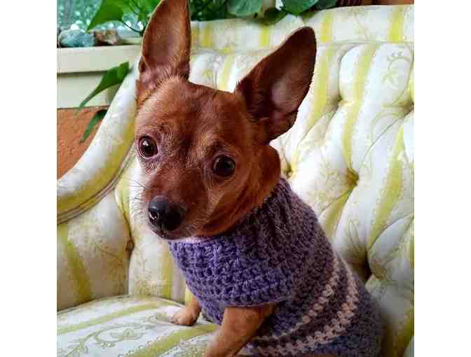 Dog Sweater - Handmade - Alpaca Blend - Size Small