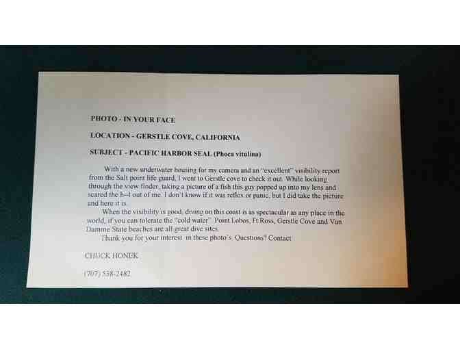 In Your Face - by Chuck Honek