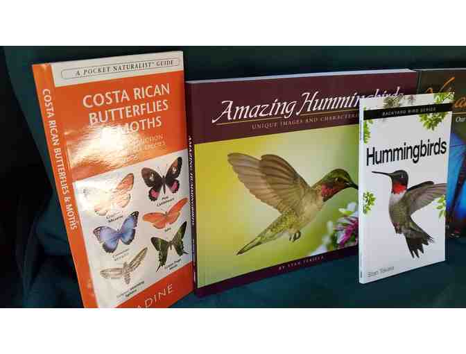 Hummingbirds & Butterflies Bundle