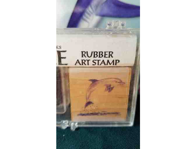 Coastal Adventure Pack