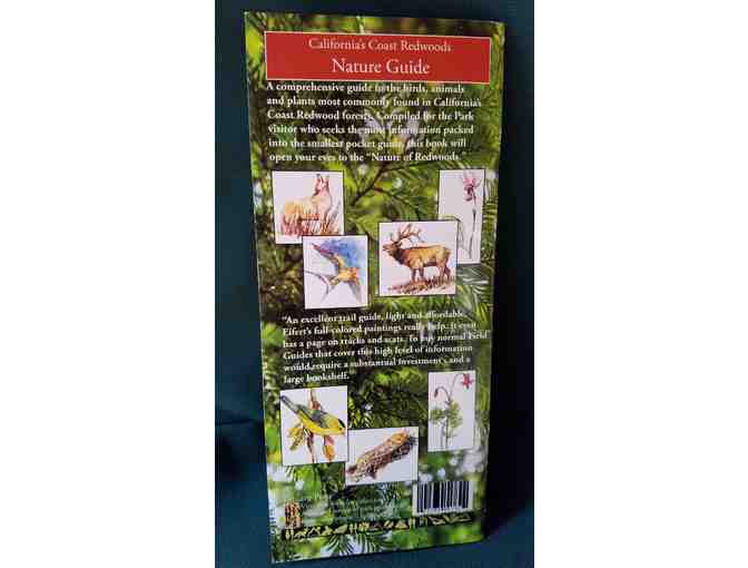 Redwood Lover's Bundle