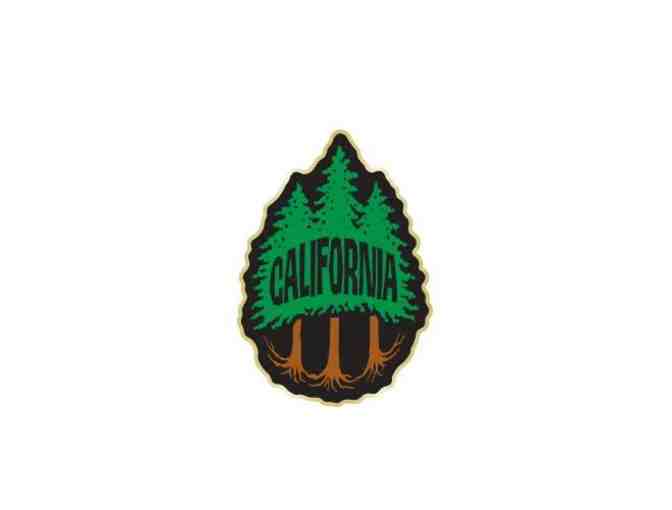 LIFE AT SEA California Bear Pack