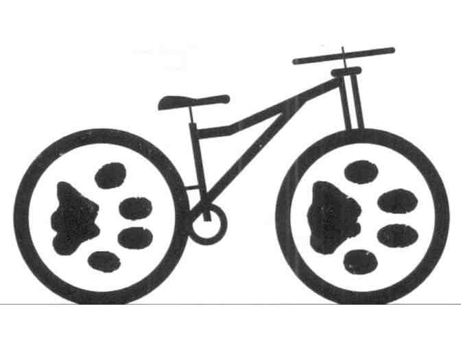 Guided Mountain Bike Animal Tracking Adventure - up to 4 people