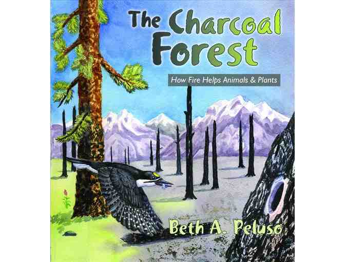 Young Readers Pack #4 Forest Edition