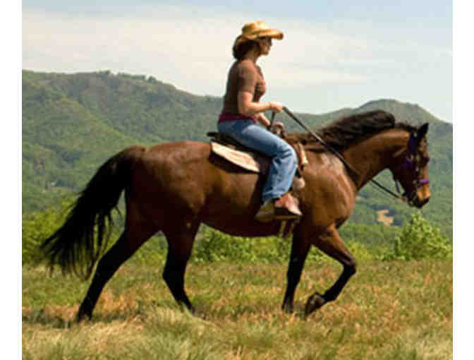 An "Eagle View" horseback ride at  Chanslor Ranch in Bodega Bay - $70 value - Photo 1