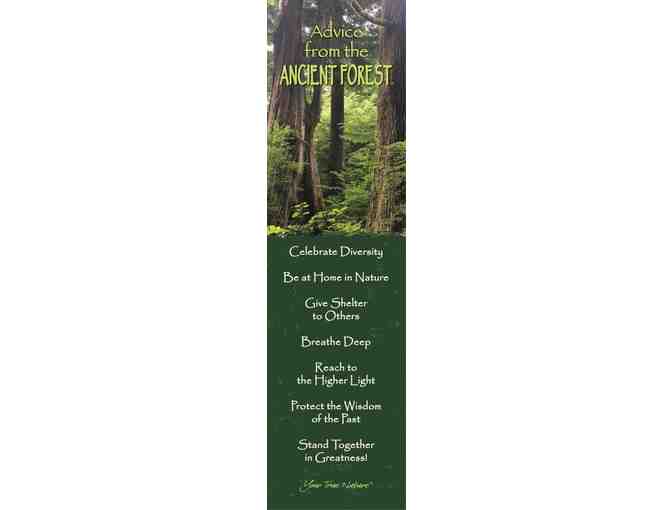 Young Readers Pack #3 Forest Lover Edition