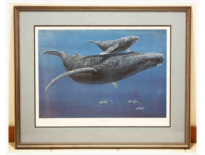 Humpback Whales by John Steel (signed)