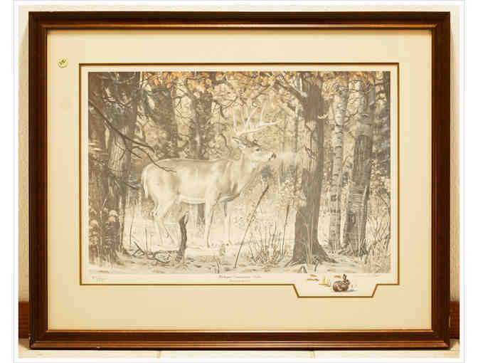 Michigan Commerative Bucks, Artist of the Year 1986 by John W. Steel (signed)