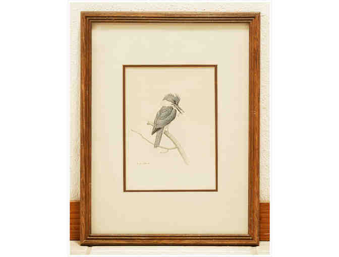 Kingfisher by  Martin Glen Loates
