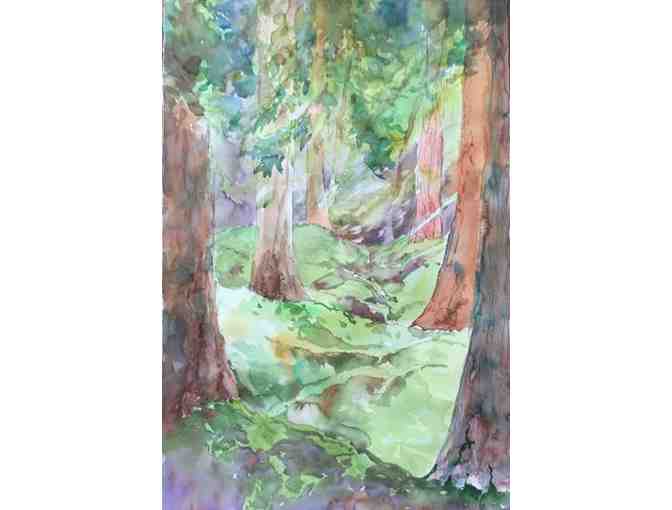 Armstrong Redwoods Watercolor, on location in Armstrong Woods - by Jean Warren - Photo 1