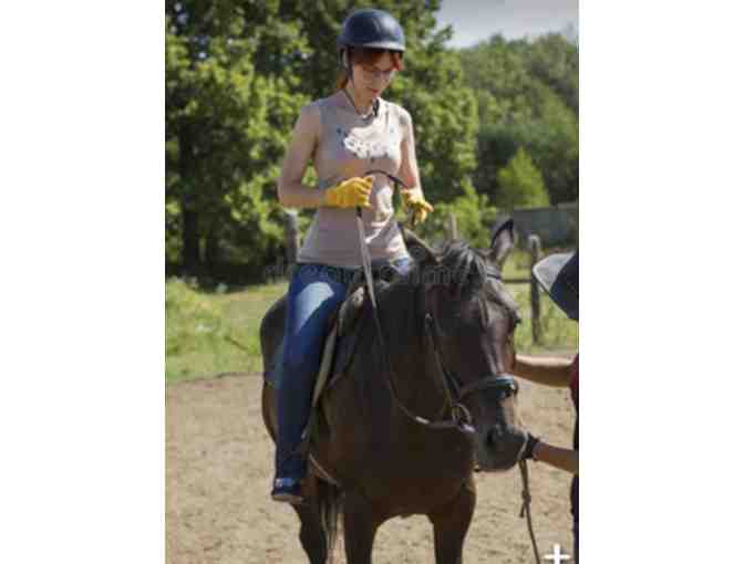 A 1 1/2 hour class 'Learning With Horses - Whole Horsemanship'