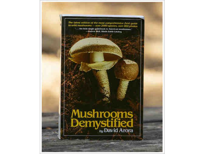 Book: Mushrooms Demystified