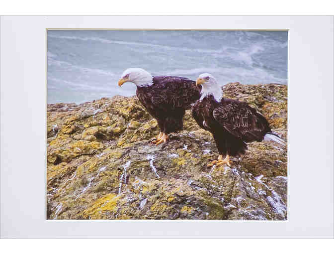 Twin Eagles - Photograph by Joan Bacci - Photo 1