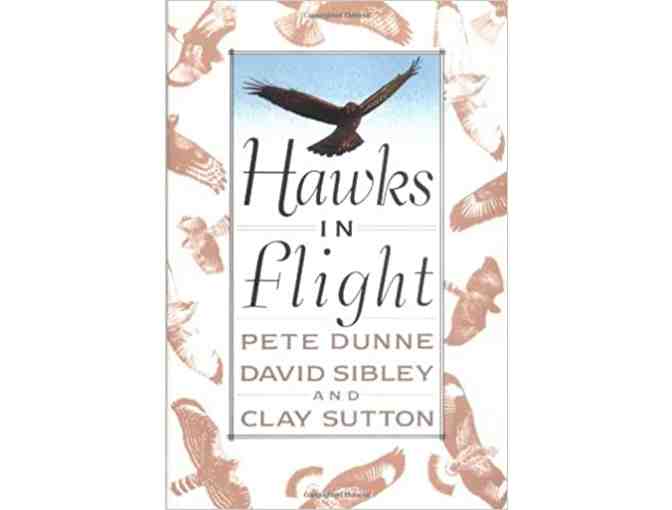 Two Books For Bird Enthusiasts - 'Hawks in Flight' and 'Gulls - A Social History'