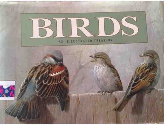 Two Small but BEAUTIFUL Books About Birds